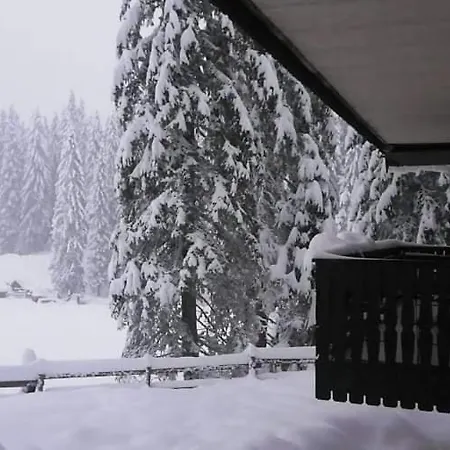 Apartma Apartma Anja *