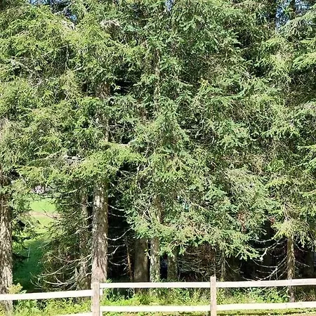 Apartma Anja Apartmán *