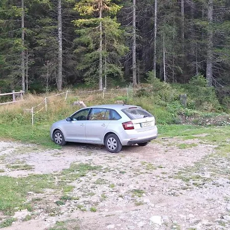 Apartma Apartma Anja *