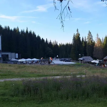 Apartma Anja * Zgornje Gorje