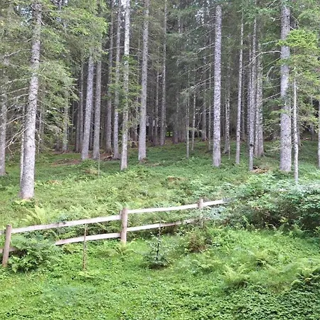 Apartma Anja Apartma Zgornje Gorje