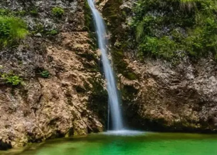 Apartma Anja Апартаменты Згорнье-Горье