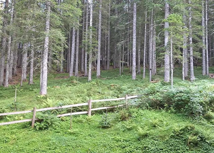 Apartma Anja Appartement Zgornje Gorje